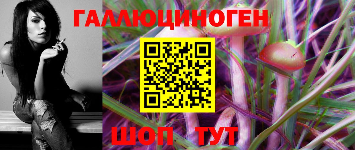 Псилоцибиновые грибы GOLDEN TEACHER Балашиха